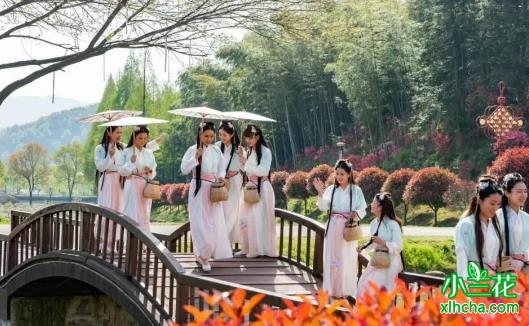 “舒城小兰花”茶叶品牌价值高达9.16亿元
