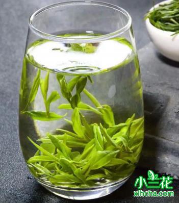 舒城小兰花：安徽小众名茶