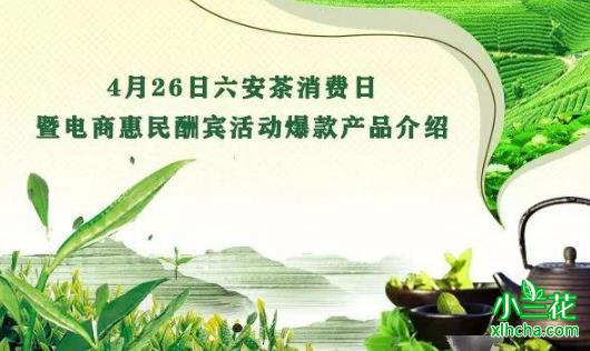 舒城小兰花礼盒茶价格多少钱