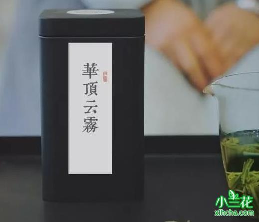 华顶云雾属于什么茶