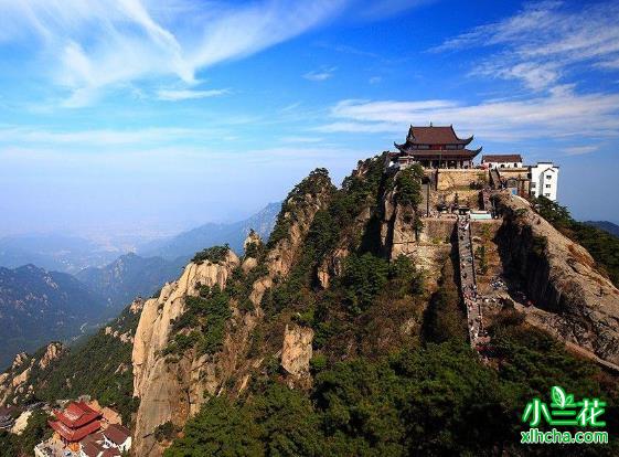 九华毛峰（九华佛茶）