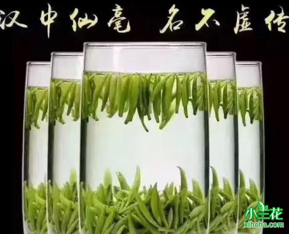 午子仙毫（汉中仙毫特级绿茶）