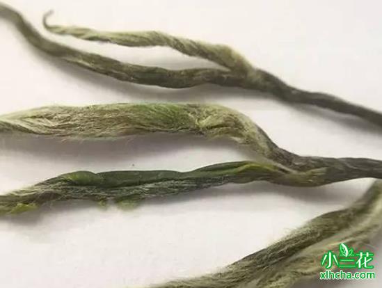 阳羡雪芽属于什么茶 9大功效作用
