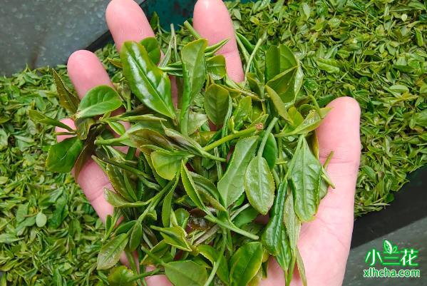 私房茶是什么茶？比普通茶好在哪里