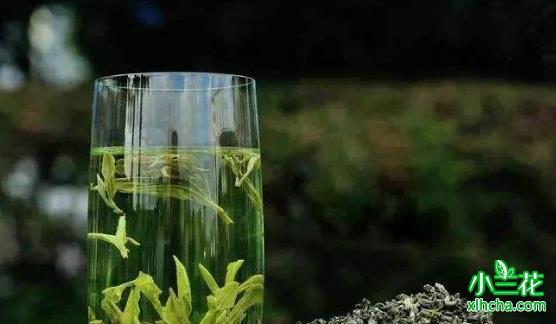 碧螺春属于绿茶吗？
