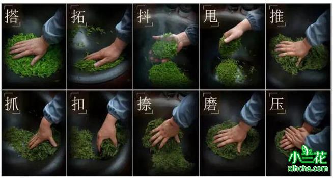 西湖龙井新茶抢先预售