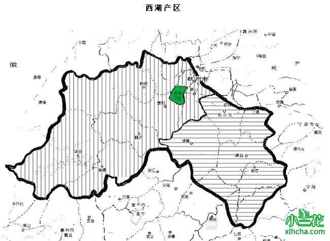 西湖龙井价格：2023年春茶最新价格