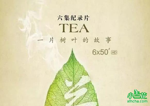 一片树叶的故事(探寻世界茶文化纪录片)