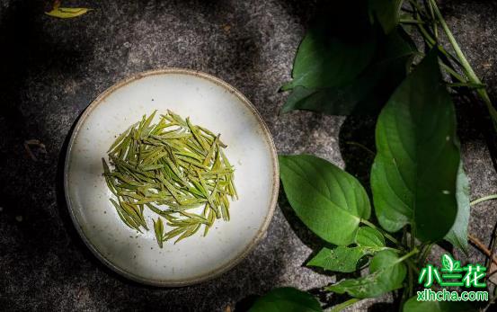 传统茶的“年轻态”文化的趋向
