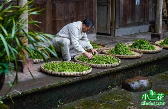 四川：传承西路边茶