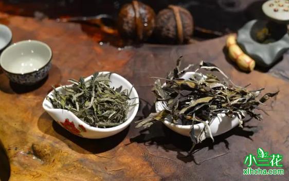 茶科技、茶产业、茶文化融合创新论坛在沪举办