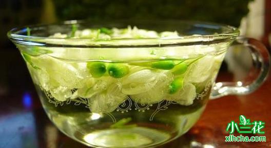 夏天喝什么茶好一点