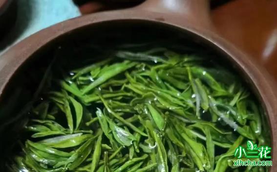 三千年茶文化：中国绿茶的发展