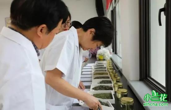 2023年茶叶品质评价会在杭州举办
